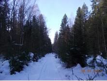 DSCN1235.JPG