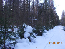 DSCN1236.JPG