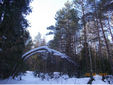 DSCN1239.JPG