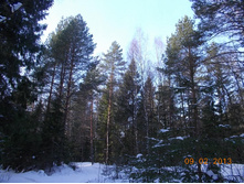 DSCN1240.JPG
