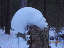 DSCN1243.JPG