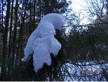 DSCN1234.JPG
