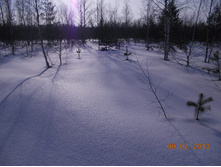 DSCN1256.JPG