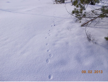 DSCN1258.JPG