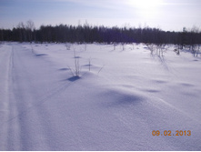 DSCN1259.JPG