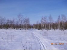 DSCN1260.JPG