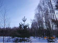 DSCN1265.JPG