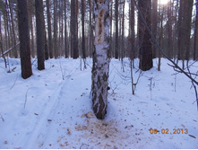 DSCN1267.JPG