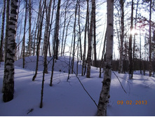 DSCN1269.JPG