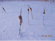 DSCN1275.JPG