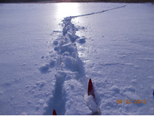 DSCN1276.JPG