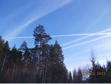DSCN1293.JPG