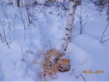 DSCN1299.JPG