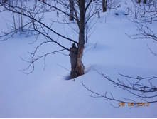 DSCN1300.JPG