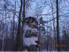 DSCN1302.JPG
