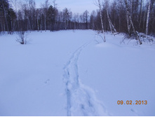 DSCN1305.JPG