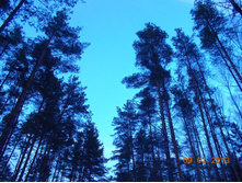 DSCN1316.JPG