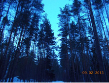 DSCN1317.JPG