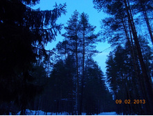 DSCN1319.JPG