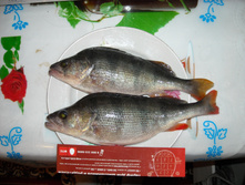 DSCN1180.jpg