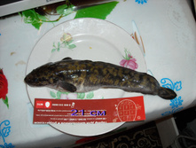 DSCN1186.jpg