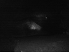 09.09.2010 8:22:35