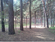 2012-04-29 10.42.53.jpg