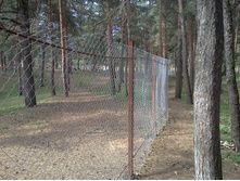 2012-04-29 10.43.38.jpg