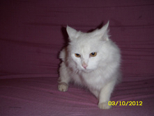ST830018.JPG