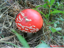 09.09.2010 14:51:30