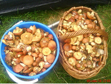 09.09.2010 14:51:37