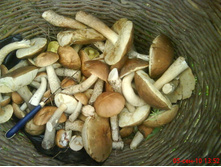 09.09.2010 14:53:52