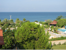 09.09.2010 16:50:34