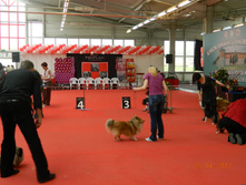 ����������� 142.jpg