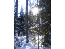 25.02.2009 0:03:52