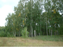 09.09.2010 23:48:56