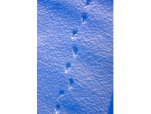 26.02.2009 19:16:30