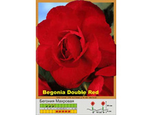 Double_dark_red 28�.jpg