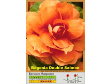 Double_salmon 28�.jpg