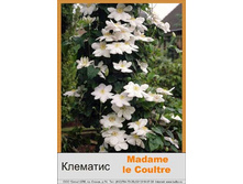 Madame_Le_Coultre 79�.jpg