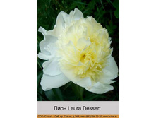 Laura_Dessert 151�.jpg