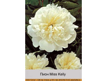 Miss_Kelly 227�.jpg
