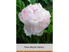 Myrtle_Gentry 138�.jpg