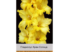 Khram_Solntsa.jpg
