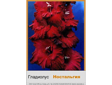 Nostalgiya.jpg
