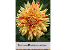 Iskateli_schastya 72�.jpg