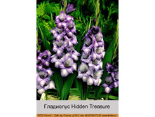 Hidden_Treasure 7�.jpg