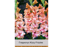 Kizzy_Frizzles 7�.jpg