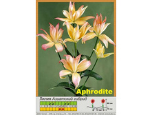 Aphrodite 35�.jpg
