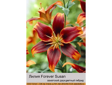 Forever_Susan 27�.jpg